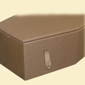 Cardboard coffin (Plain)-0
