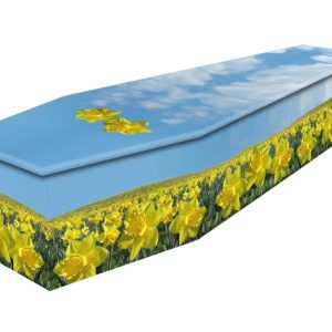 Field Of Daffodils Cardboard coffin-0