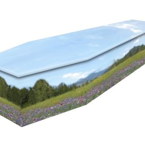 cardboard coffin Summer Meadow -0