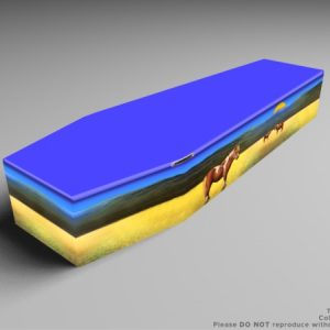 Pony, camels, and Swan printed coffins-0