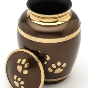 Pet Urn Rochester 6" high-0