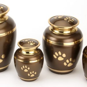 Pet Urn Rochester 8" high-0