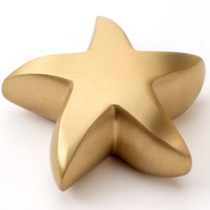 Star Keepsake Brass (UU430001A) Token Ashes-0