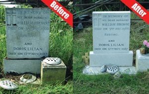 Bio-Headstone cleaner-0