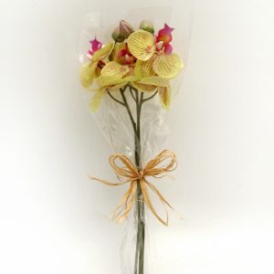 Orchid Bundle x3 Pale Purple-0