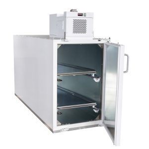 2 Tier Economy Mortuary Cabinet-0
